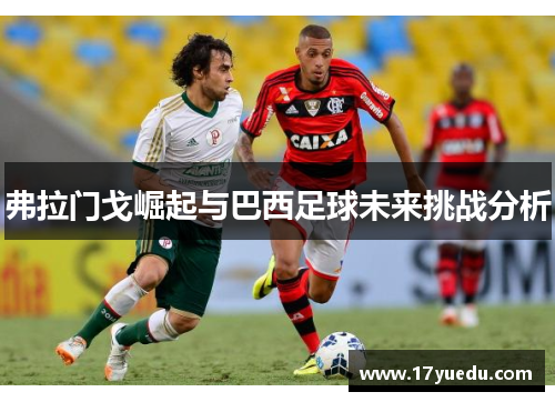 弗拉门戈崛起与巴西足球未来挑战分析
