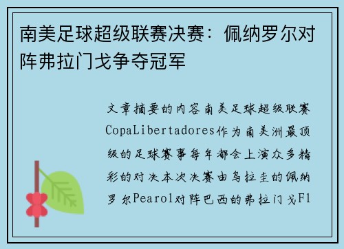 南美足球超级联赛决赛：佩纳罗尔对阵弗拉门戈争夺冠军